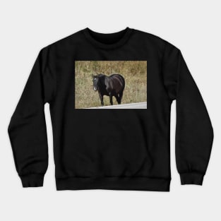 Wild Horse Crewneck Sweatshirt